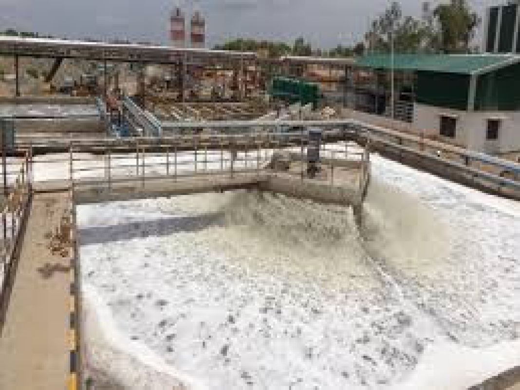 Trail Through Woods - Winona