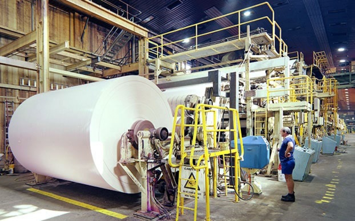 Trail Through Woods - Winona