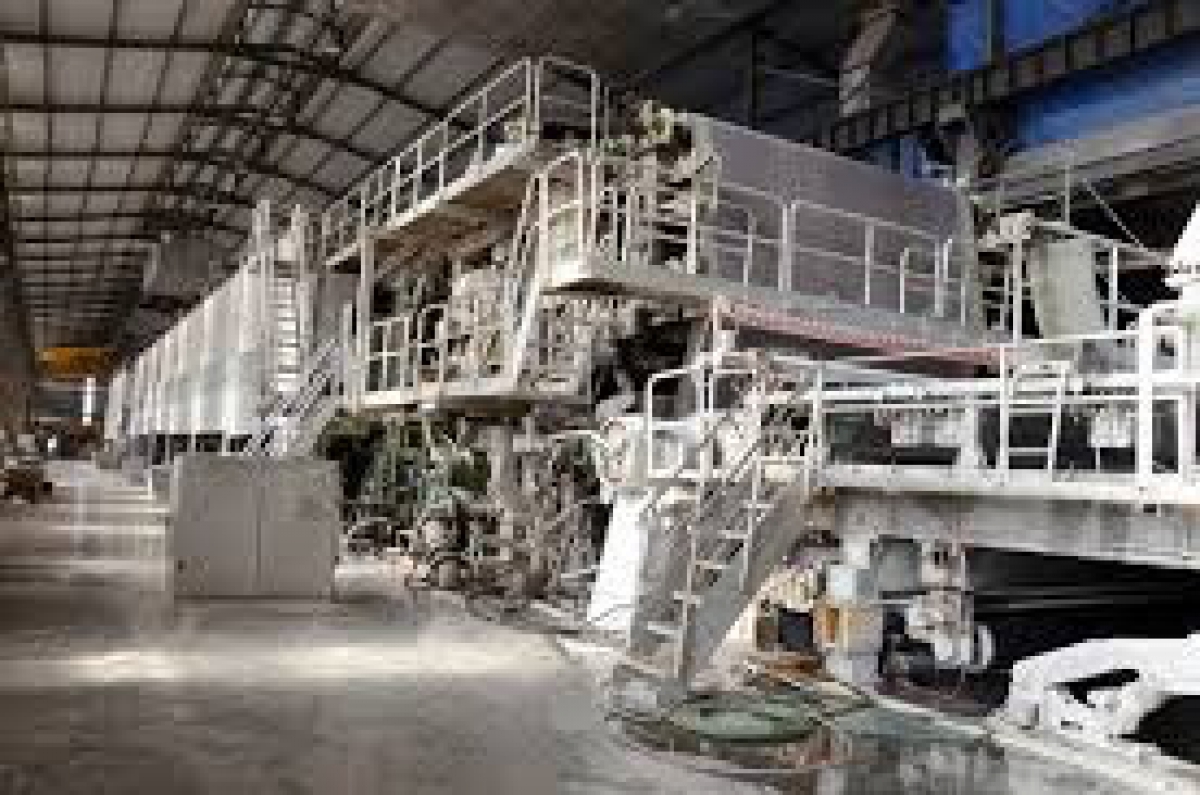 Trail Through Woods - Winona