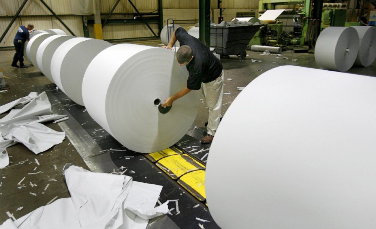 Trail Through Woods - Winona